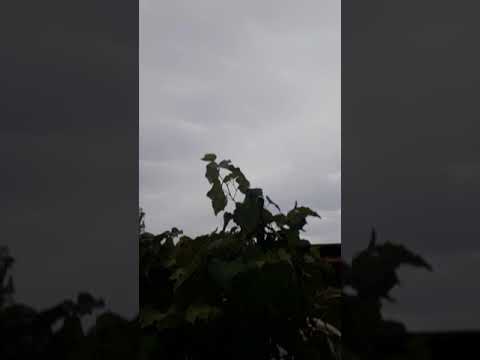 Furtună in Palanca Giurgiu