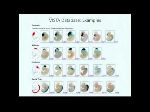 Genome-wide Prediction of Enhancers and Their Target Genes Using ENCODE Data
