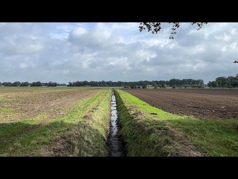 Wandelen over het Pieterpad - etappe 6 - Schoonloo-Sleen