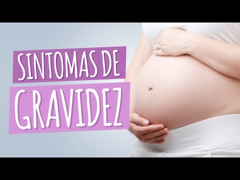 Imagem ilustrativa do vídeo: Primeiros sintomas de gravidez