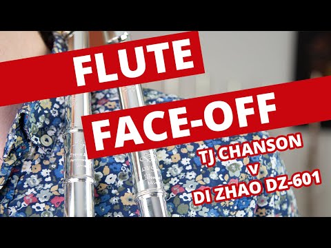Flute Face-Off! Trevor James Chanson vs Di Zhao DZ-601 - Which Is Better?