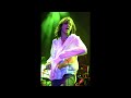 The Black Crowes - Losing My Mind (Different Version/Mix)