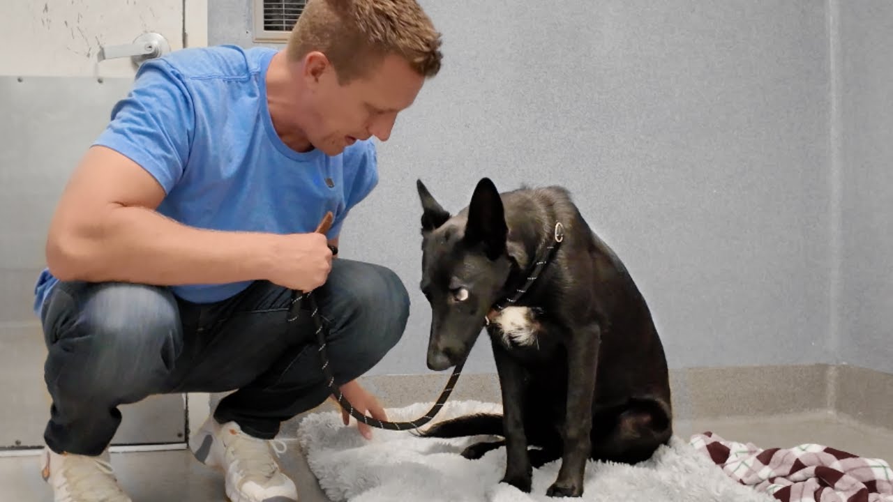 Watch her reaction when I tell her It Wasn’t Her Fault