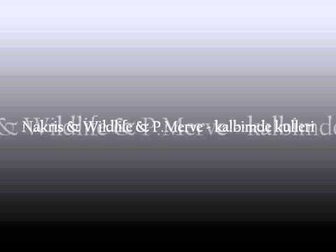 Nakris & Wildlife & P Merve   kalbimde kulleri  beat by dj Zalimfirari