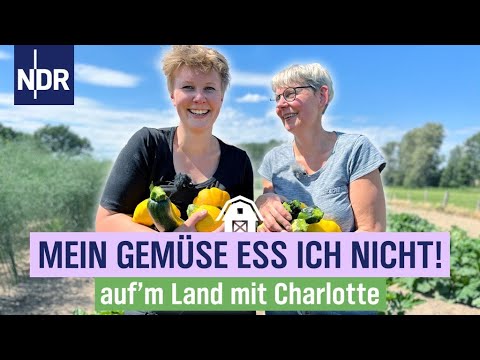 Erntezeit auf dem Vorwiesenhof: Von zu Zucchinis und staubiger Gerste | Folge 10 | NDR auf'm Land