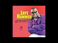 Jaye Hammer - Party At Home