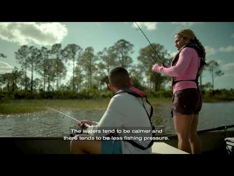 Fishing Tips for Beginners