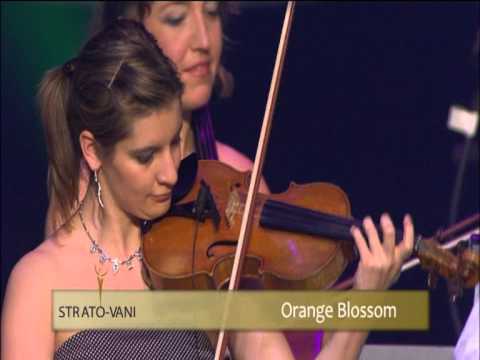 Strato-Vani (Belgium) - Orange Blossom