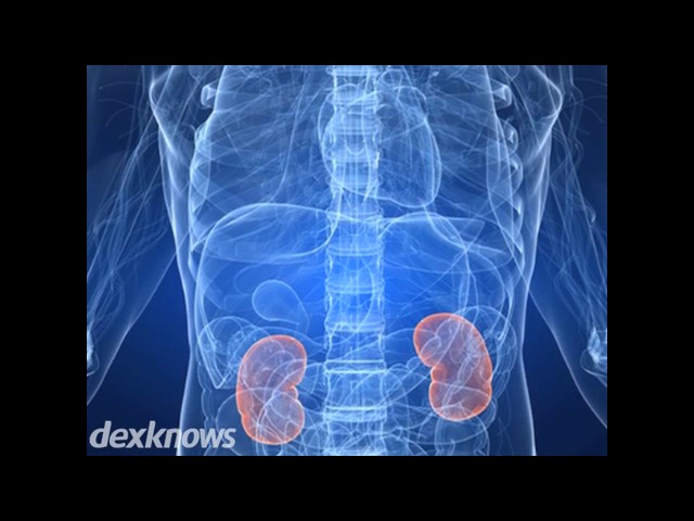 Weng Peng, M.D.- Board Certified Urologist - Highland, IN