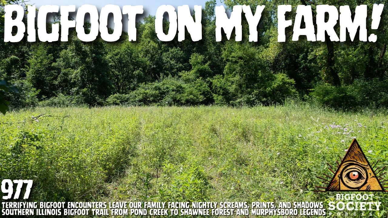 Sasquatch Stalks Southern Illinois Farm Delivering Terrifying Close-Range Encounters!