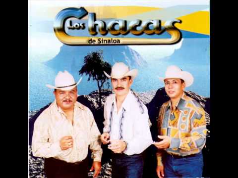 Los Chacas De Sinaloa - Una Palomita