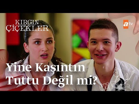 Songül, Güney'e saldırıyor! | Kırgın Çiçekler