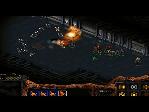 StarCraft Classic Zerg 5 : The Amerigo