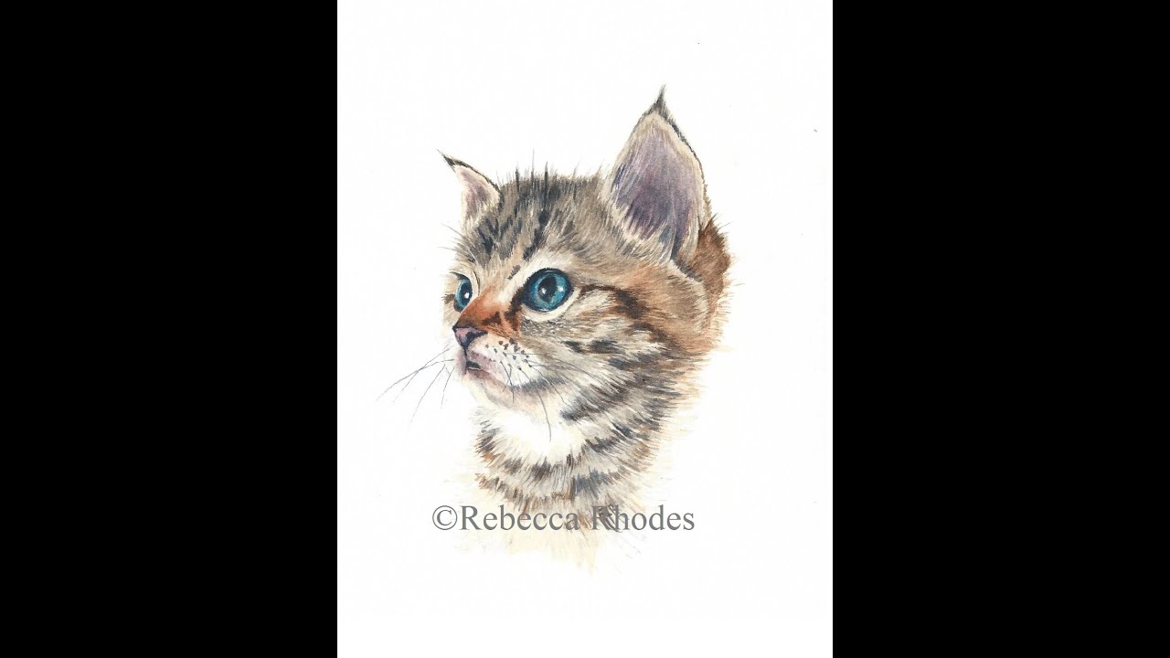 Watercolor Painting Tutorial - Kitten, Course Preview