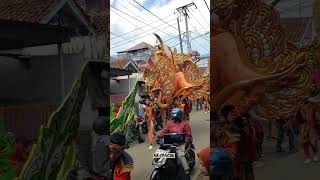 Download lagu Burok besar siap arak arakan #shortvideo #shorts #burok mp3