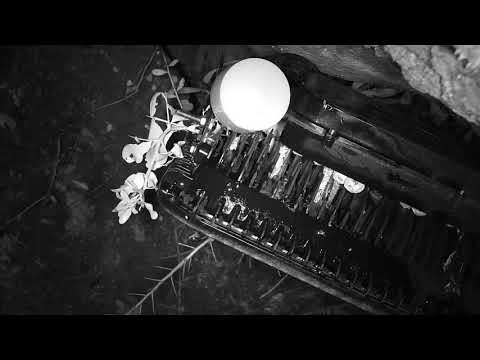 Djuma: Windy and rainy night - 23:32 - 10/10/20