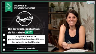 Les Causeries de l’Environnement et du Développement Durable - Biodiversité et protection de la nature #12 -  L'application de la photo-identification dans l'étude des cétacés à La Réunion