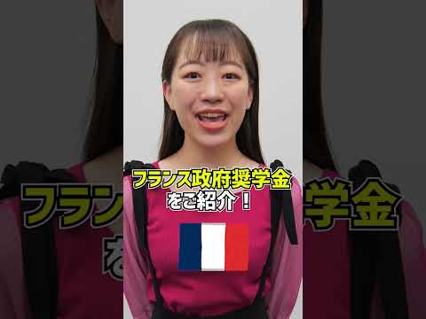 フランスの高等教育におけるテキストの総合 - 定義