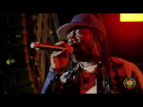 Louie Culture (Rebel Salute 2025)