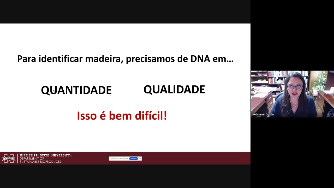 Além da lente contafios: um novo olhar para a identificação da madeira