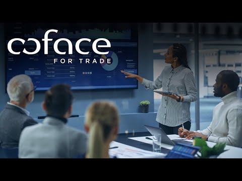 Building Cyber Resilience Insights from Coface