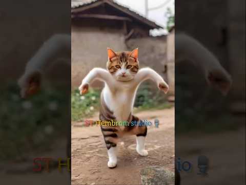 KUKMU Rani #cat #shortvideo #funny #comedy #trendingshorts #santalimusic #viralvideo