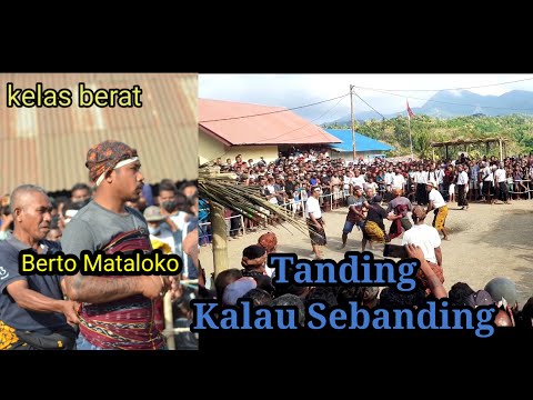 Tinju adat Wolowea ||Berto Mataloko  vs Suko Raja || kelas berat