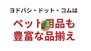 20240805_Yodobashi.com_ペット用品_TypeB（背景画像あり）