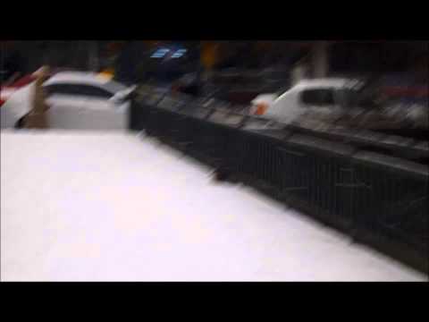 YALOVA'DA KEDİNİN MARTI AVI KAMERAYA TAKILDI