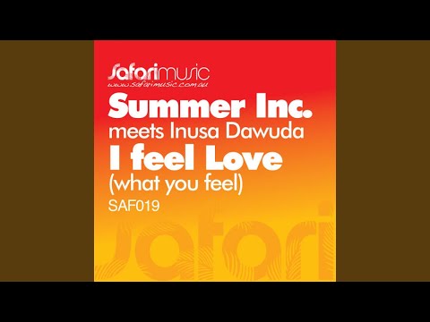 I Feel Love (What You Feel) (Konstantin Wallner Remix)