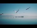 Seagulls Sound Effect