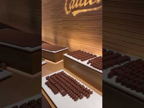 Chocolate Tasting At Maison Cailler Chocolate Factory 🏭 #shorts #ytshorts #chocolate #switzerland