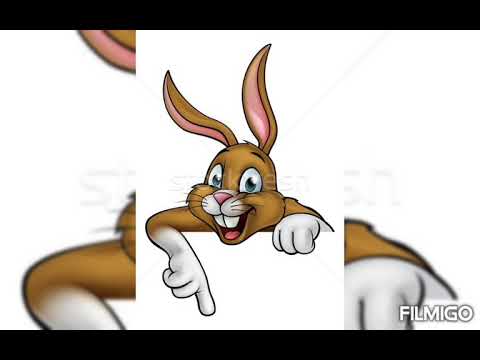 Morcovul - filmulet educativ grupa mică (DȘ)