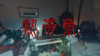 カイジューバイミー 『熱帯魚』 Music Video