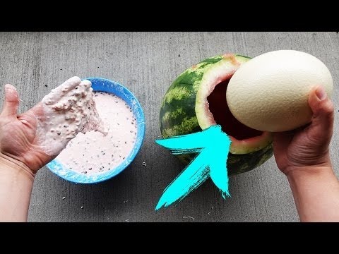 EXPERIMENT: IS OOBLECK PLUS WATERMELON A REAL EGG PROTECTOR?!? CLICK TO CECK THAT OUT! Video