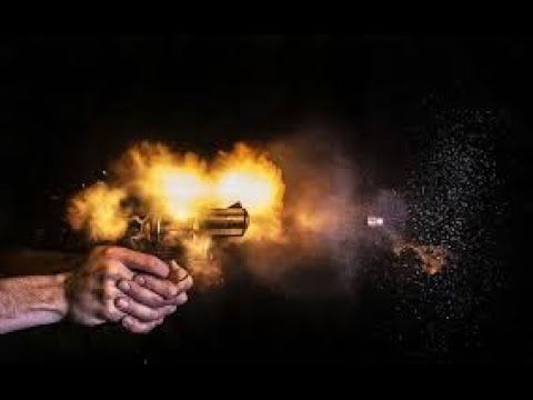 Central Firearms Registry probed