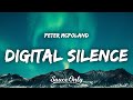 Peter McPoland Digital Silence Lyrics