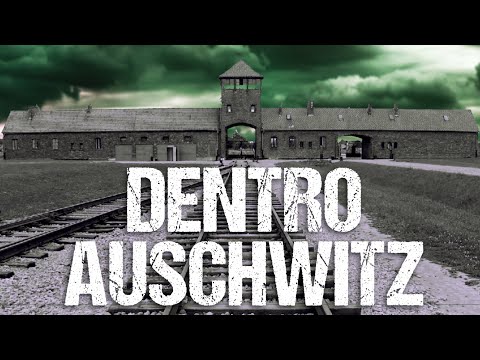 JackRev and JackRev Vlogs