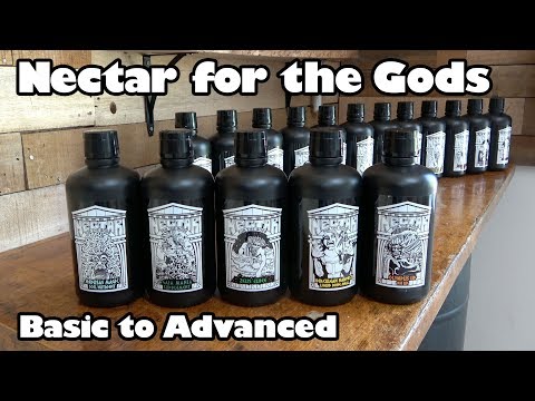 Nectar for the Gods Basic to Advanced Part-1
