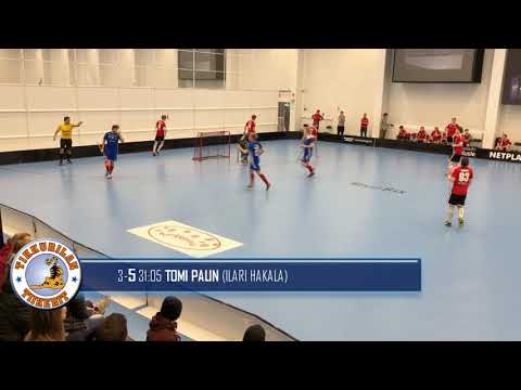 Maalikooste LNM - Tiikerit 2.12.2017