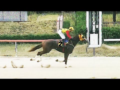 8/29(금)손석볌-메인한방(쌍19.1배)끝판22.6배/승부21.5배[가야할마필]분명한이유/다적중까지..!!