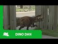 Dino Dan Psitaccosaurus Promo Jason Spevack Sydney Kuhne Isaac Durnford
