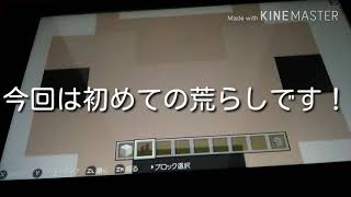 マイクラ初めての荒らし！！