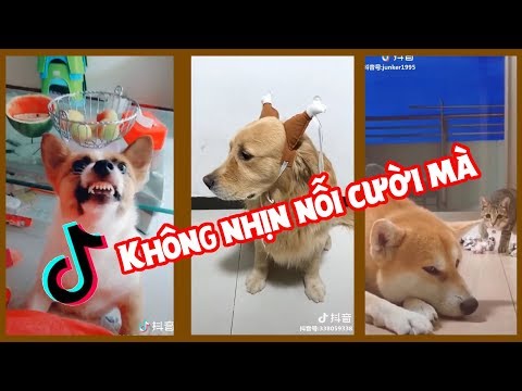 Không nhịn nỗi cười mà..:))) lầy quá