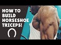 HOW TO BUILD HORSESHOE TRICEPS | COMMERCIAL GYM
