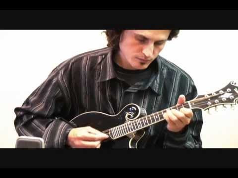 Weber Black Ice Mandolin 2011 - Black Ice image 11