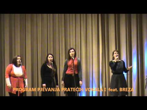 Božićni koncert 19.12.2012.