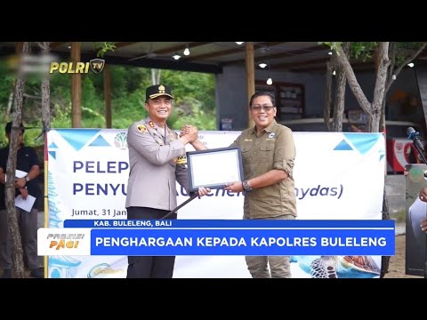 KAPOLRES BULELENG TURUT SERTA PELEPASLIARAN PENYU DI BANYUWEDANG
