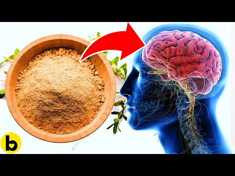 Does Bacopa Make You Smarter?