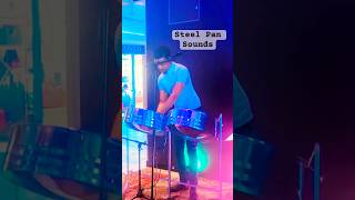 Steel Pan Sounds and Thankful Hearts | A Moment Aboard Carnival Mardi Gras